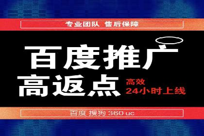 百度竞价公司成功案例：如何实现ROI最大化